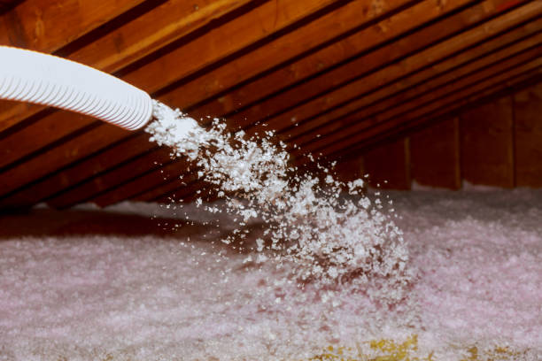 Best Geographic-Specific Insulation Services in Delisle, MS