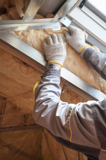 Best Residential Insulation in Delisle, MS