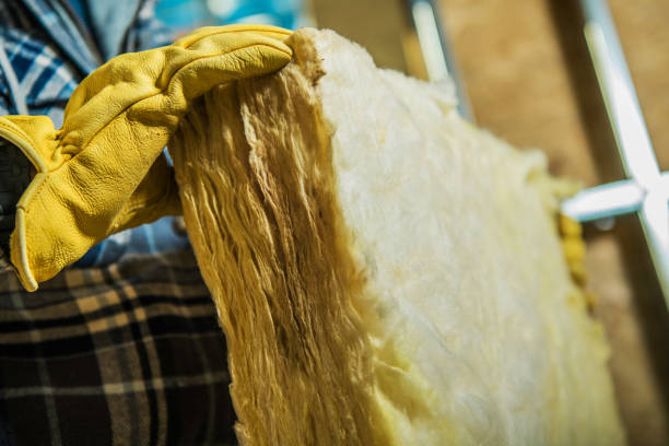 Best Spray Foam Insulation in Delisle, MS
