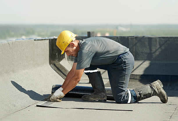 Types of Insulation We Offer in Delisle, MS