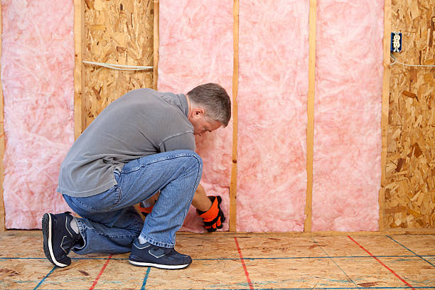 Best Specialized Insulation Services in Delisle, MS