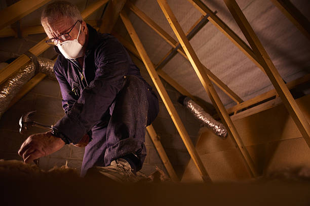 Best Insulation Maintenance and Repair in Delisle, MS
