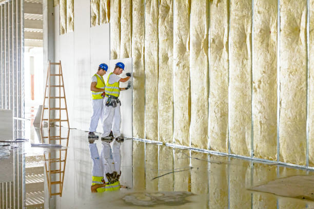 Best Blown-in Insulation in Delisle, MS